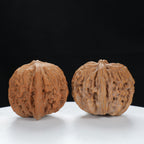 "White Lion's Head" Original entry level Wenwan Walnuts Pair | Size:45L*42W*37H | UPI:UR-00080