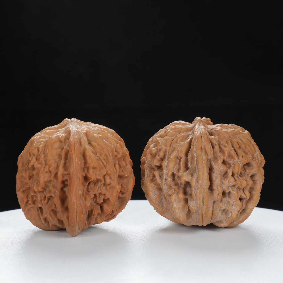 "White Lion's Head" Original entry level Wenwan Walnuts Pair | Size:45L*42W*37H | UPI:UR-00080