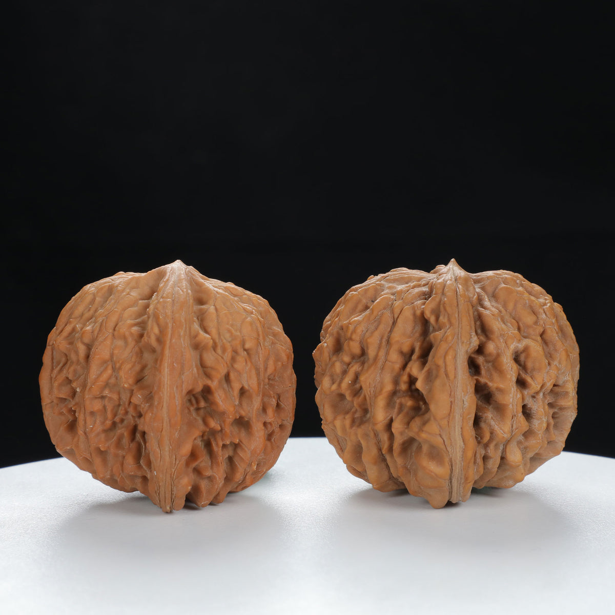 "White Lion's Head" Original entry level Wenwan Walnuts Pair | Size:45L*42W*37H | UPI:UR-00080