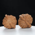 "White Lion's Head" Original entry level Wenwan Walnuts Pair | Size:45L*42W*37H | UPI:UR-00080