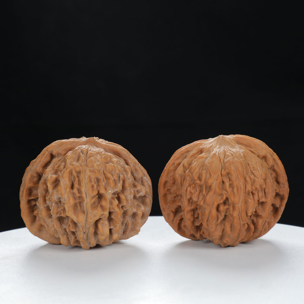 "White Lion's Head" Original entry level Wenwan Walnuts Pair | Size:45L*42W*37H | UPI:UR-00080