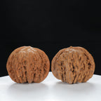 "White Lion's Head" Original entry level Wenwan Walnuts Pair | Size:45L*42W*37H | UPI:UR-00080