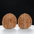 "Si Zuo Lou" Elegant entry level Wenwan Walnuts Pair | Size:37L*34W*39H | UPI:UR-00081