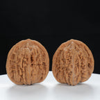 "Si Zuo Lou" Elegant entry level Wenwan Walnuts Pair | Size:37L*34W*39H | UPI:UR-00081