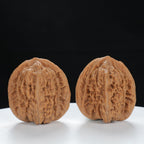 "Si Zuo Lou" Elegant entry level Wenwan Walnuts Pair | Size:37L*34W*39H | UPI:UR-00081