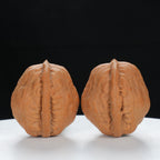"Qiuzi" Handpicked entry level Wenwan Walnuts Pair | Size:31L*31W*35H | UPI:UR-00082