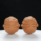 "Qiuzi" Handpicked entry level Wenwan Walnuts Pair | Size:31L*31W*35H | UPI:UR-00082