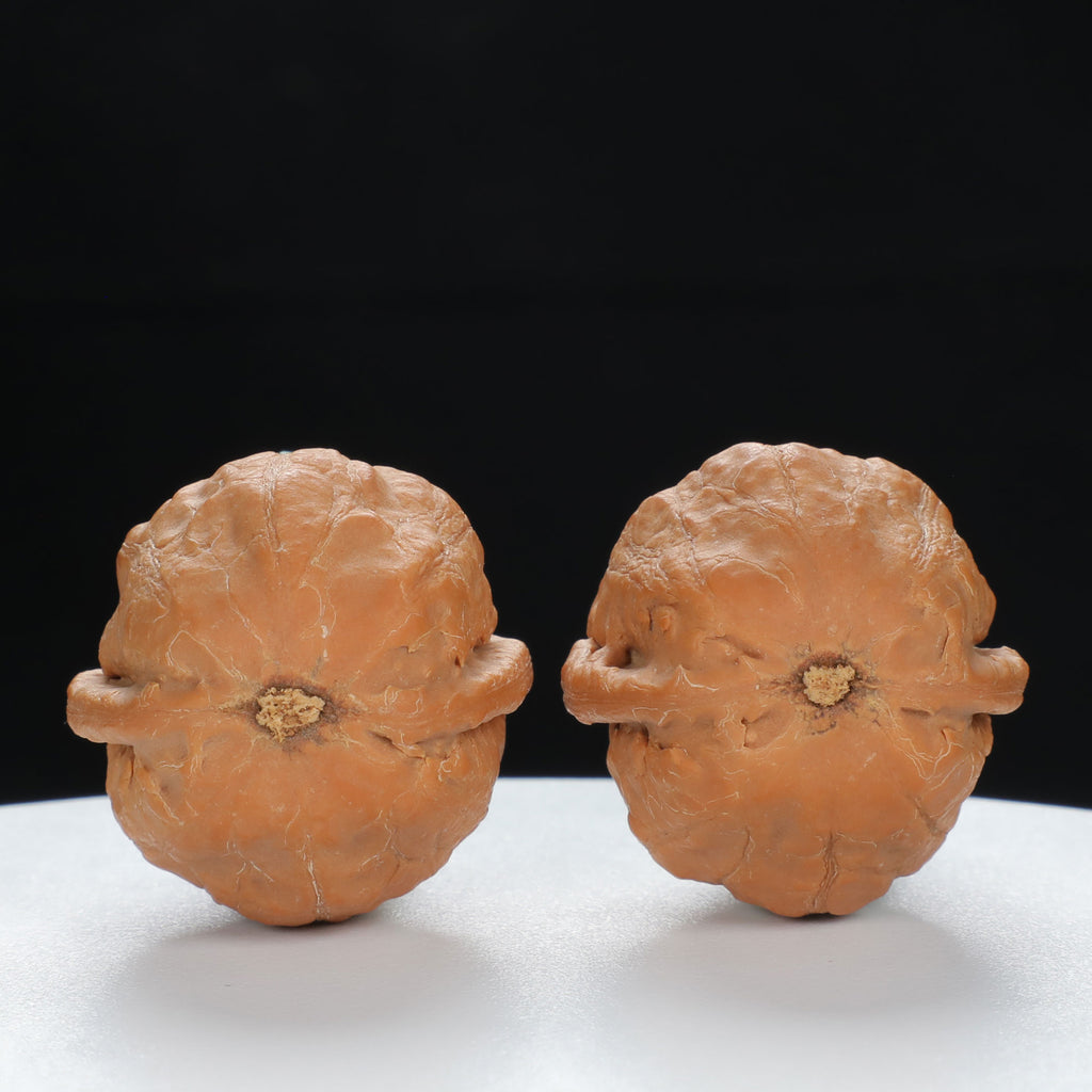 "Qiuzi" Handpicked entry level Wenwan Walnuts Pair | Size:31L*31W*35H | UPI:UR-00082