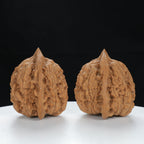 "Large Mandarin Hat" Curated entry level Wenwan Walnuts Pair | Size:44L*40W*45H | UPI:UR-00083
