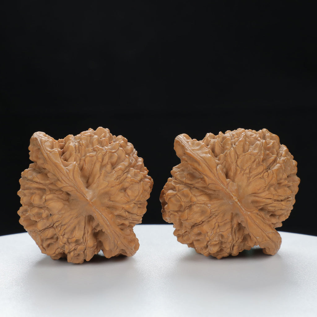 "Large Mandarin Hat" Curated entry level Wenwan Walnuts Pair | Size:44L*40W*45H | UPI:UR-00083