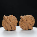 "Large Mandarin Hat" Curated entry level Wenwan Walnuts Pair | Size:44L*40W*45H | UPI:UR-00083
