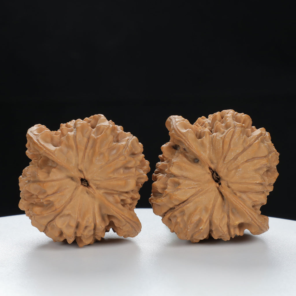 "Large Mandarin Hat" Curated entry level Wenwan Walnuts Pair | Size:44L*40W*45H | UPI:UR-00083