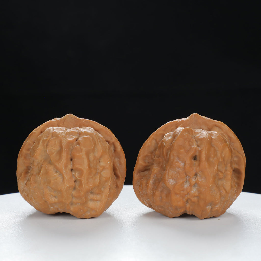 "Toad Head" Artisan entry level Wenwan Walnuts Pair | Size:38L*39W*34H | UPI:UR-00084