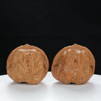 "Toad Head" Artisan entry level Wenwan Walnuts Pair | Size:38L*39W*34H | UPI:UR-00084
