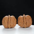 "Toad Head" Artisan entry level Wenwan Walnuts Pair | Size:38L*39W*34H | UPI:UR-00084