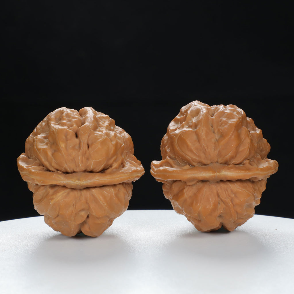 "Toad Head" Artisan entry level Wenwan Walnuts Pair | Size:38L*39W*34H | UPI:UR-00084