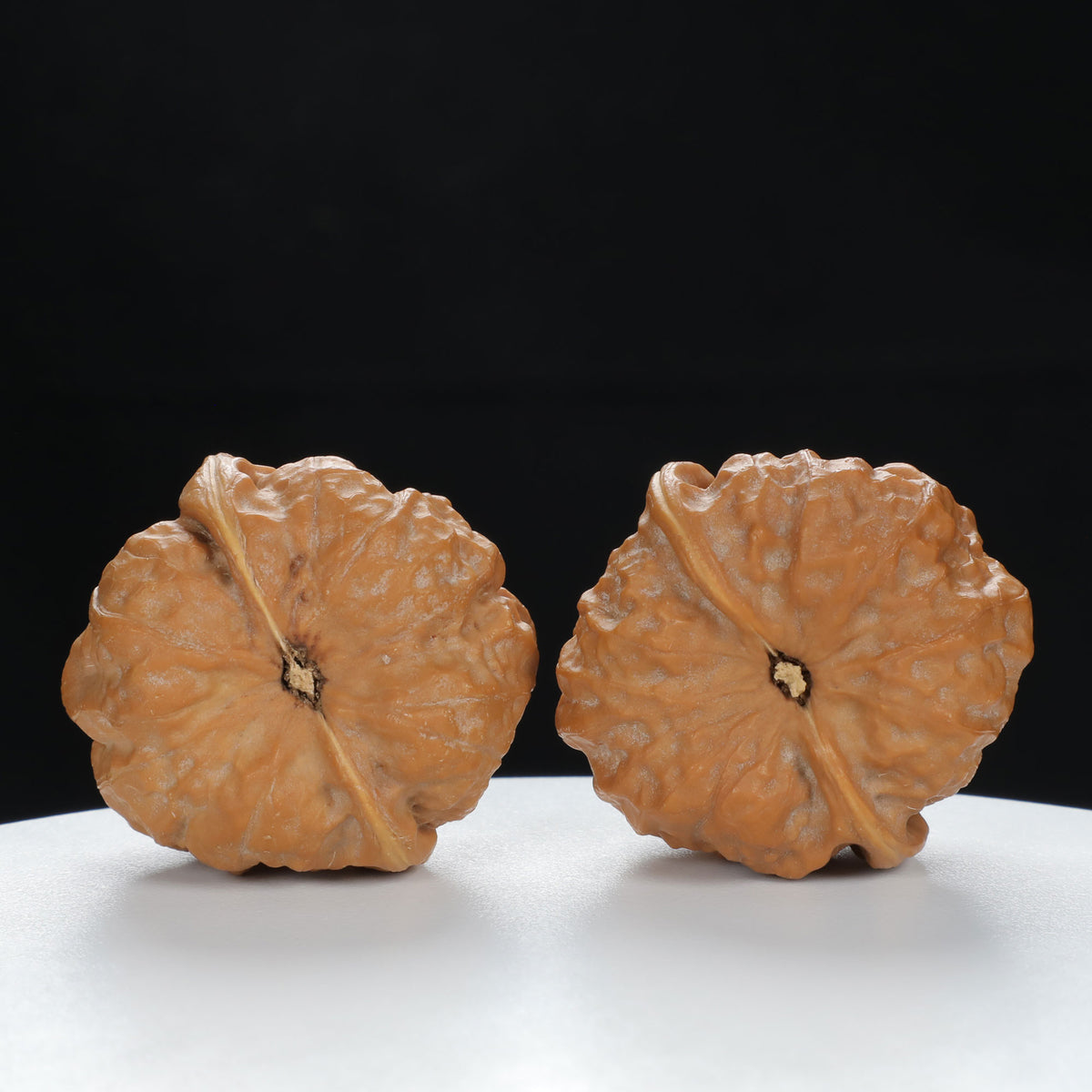 "Toad Head" Artisan entry level Wenwan Walnuts Pair | Size:38L*39W*34H | UPI:UR-00084