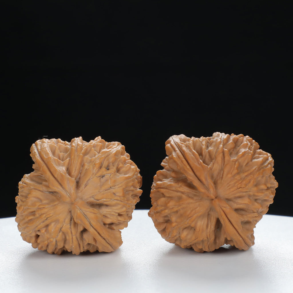 "Lion's Head" Vintage-style entry level Wenwan Walnuts Pair | Size:31L*31W*32H | UPI:UR-00086