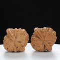 "Lion's Head" Vintage-style entry level Wenwan Walnuts Pair | Size:31L*31W*32H | UPI:UR-00086