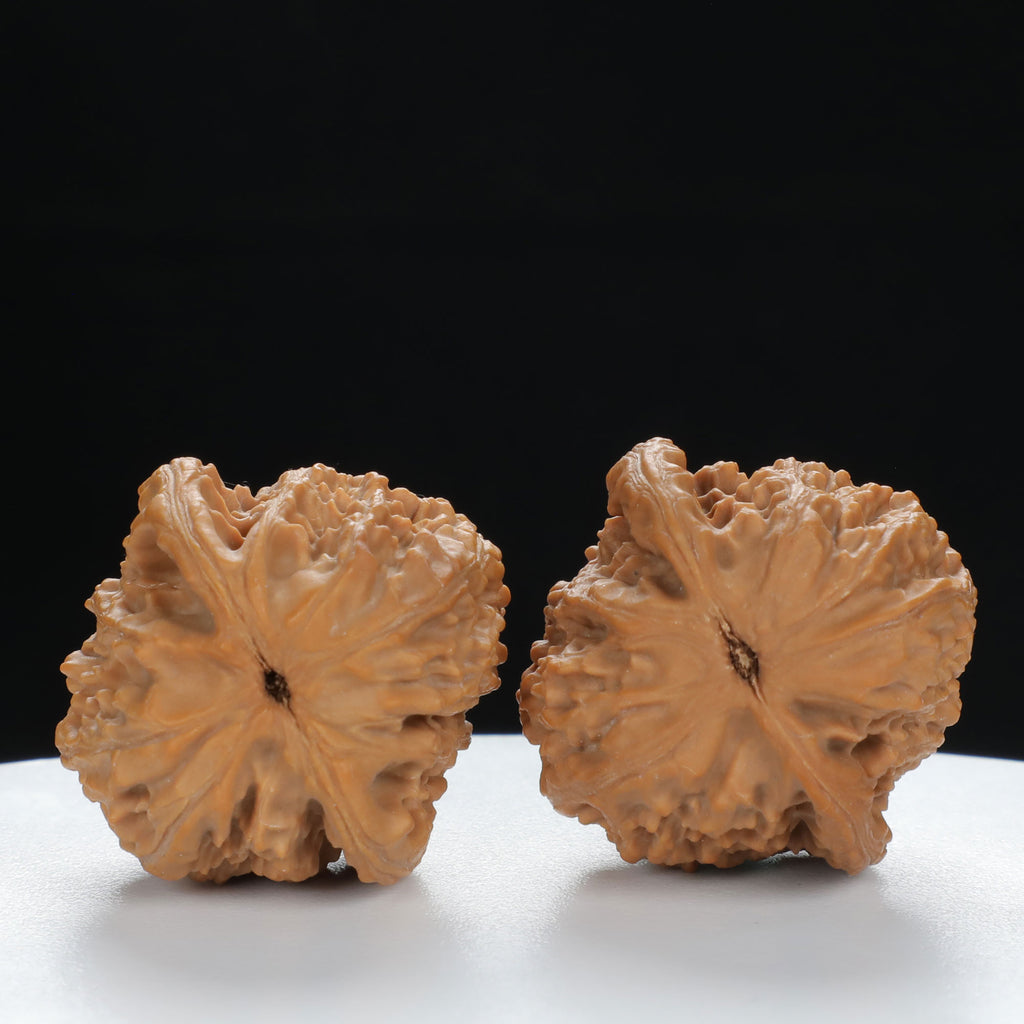"Lion's Head" Vintage-style entry level Wenwan Walnuts Pair | Size:31L*31W*32H | UPI:UR-00086