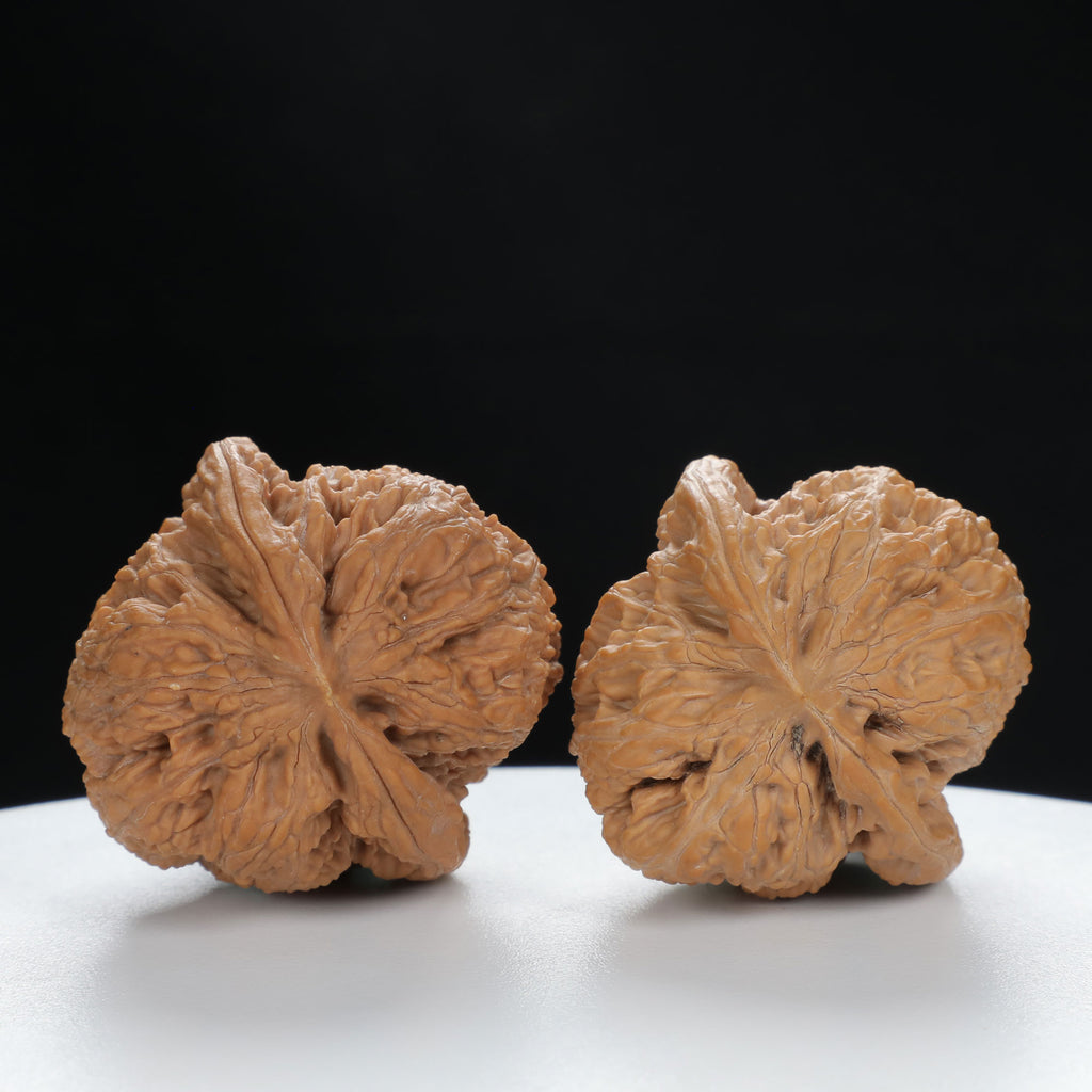 "Nanjiang Stone" Collector's entry level Wenwan Walnuts Pair | Size:39L*39W*43H | UPI:UR-00087