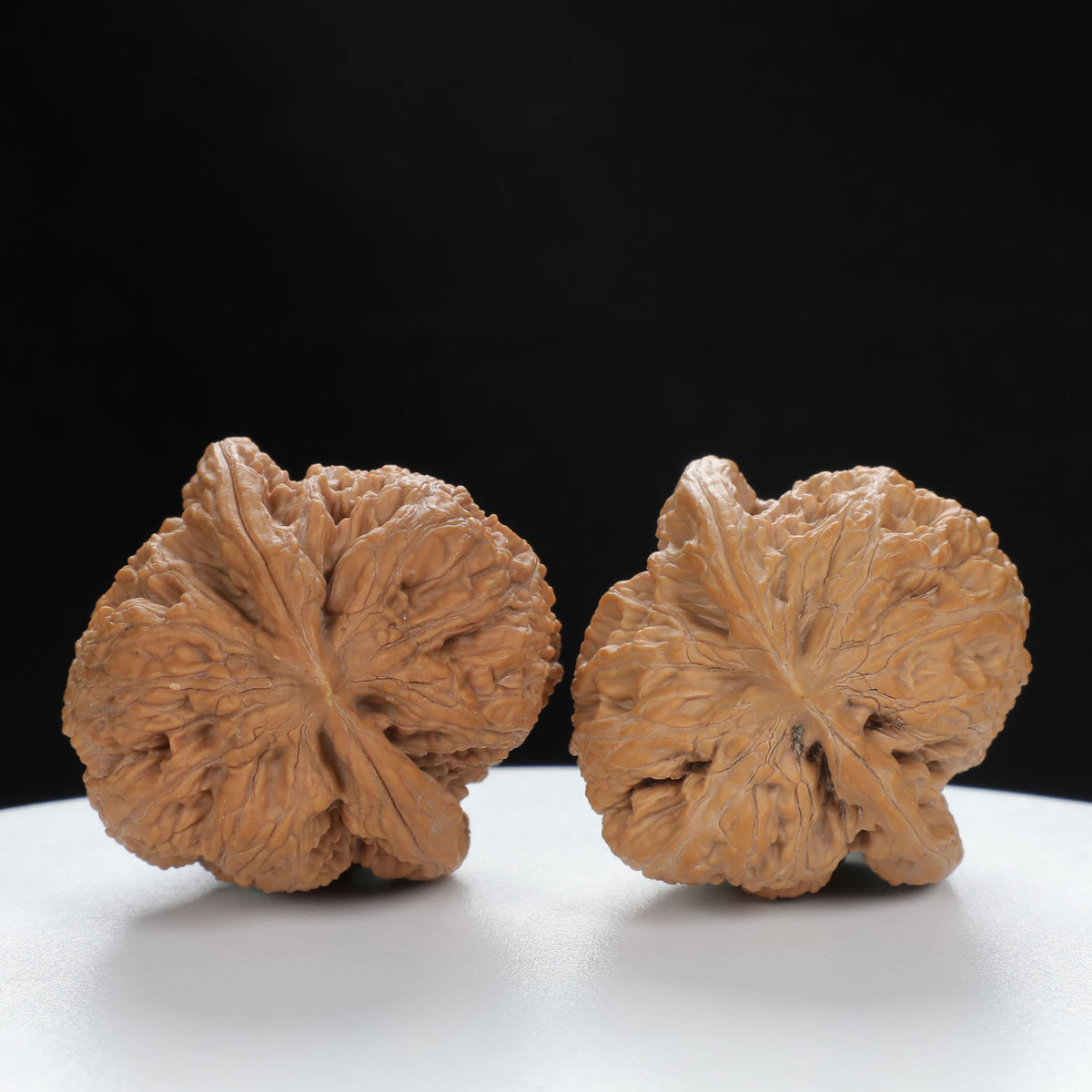 "Nanjiang Stone" Collector's entry level Wenwan Walnuts Pair | Size:39L*39W*43H | UPI:UR-00087