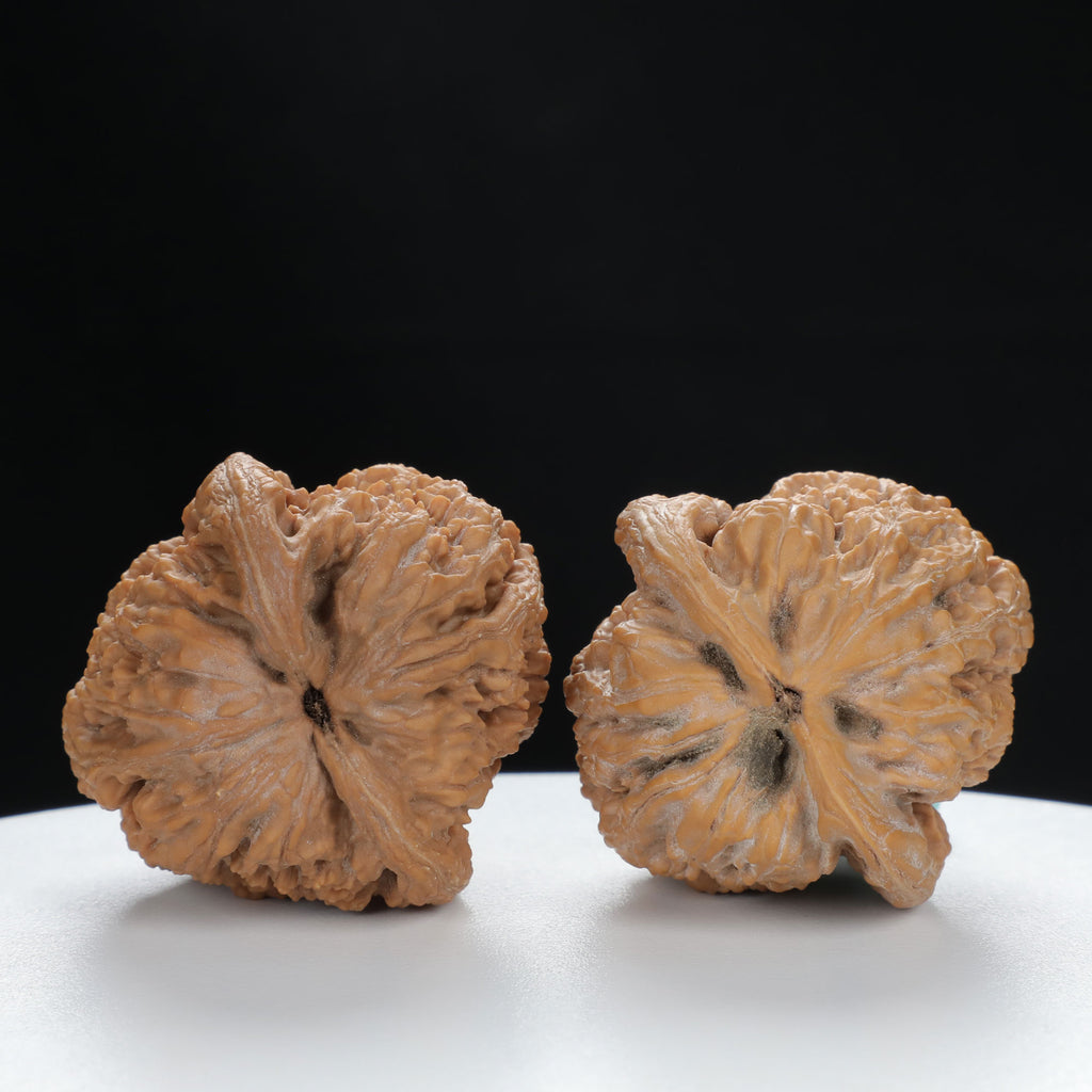 "Nanjiang Stone" Collector's entry level Wenwan Walnuts Pair | Size:39L*39W*43H | UPI:UR-00087