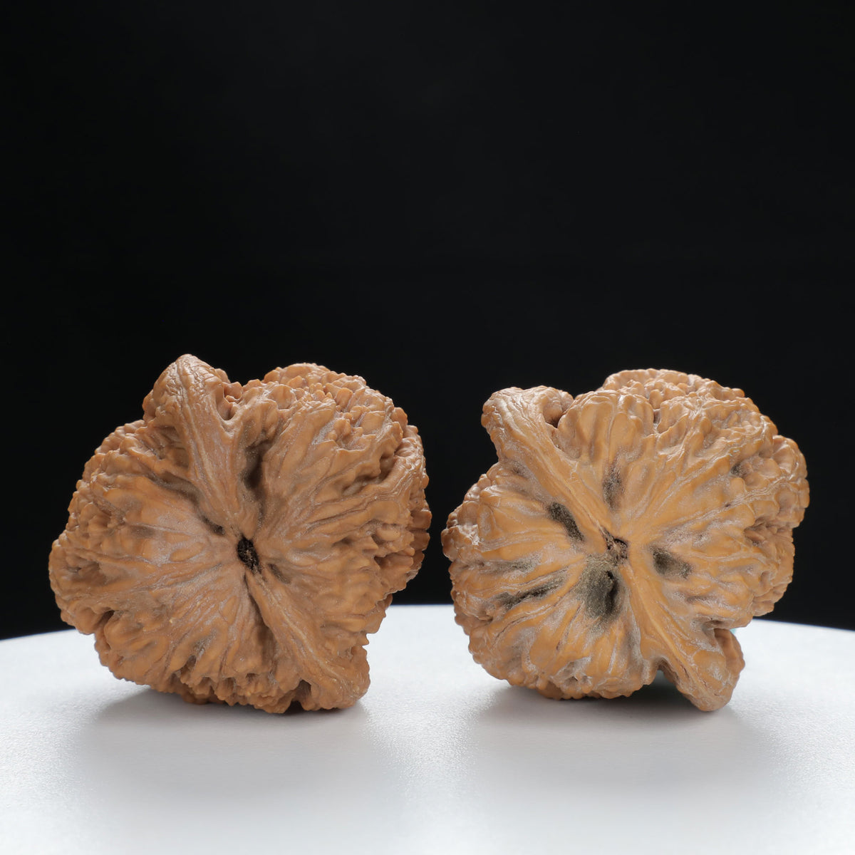"Nanjiang Stone" Collector's entry level Wenwan Walnuts Pair | Size:39L*39W*43H | UPI:UR-00087