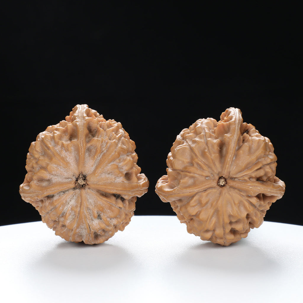 “Three-Ridged” Highly Matched 3-Sided Triple-Ridge Wenwan Walnuts Pair | Size:36L*38W*38H | UPI:UR-00088