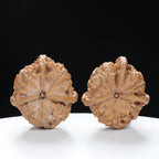 “Three-Ridged” Highly Matched 3-Sided Triple-Ridge Wenwan Walnuts Pair | Size:36L*38W*38H | UPI:UR-00088