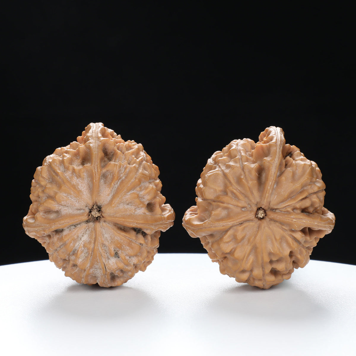 “Three-Ridged” Highly Matched 3-Sided Triple-Ridge Wenwan Walnuts Pair | Size:36L*38W*38H | UPI:UR-00088