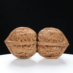 “Three-Ridged” Highly Matched 3-Sided Triple-Ridge Wenwan Walnuts Pair | Size:36L*38W*38H | UPI:UR-00088