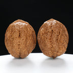 “Toad Head” Yunnan Iron Golden Toad Wenwan Walnuts Pair | Size:31L*40W*40H | UPI:UR-00097