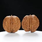 “Toad Head” Yunnan Iron Golden Toad Wenwan Walnuts Pair | Size:31L*40W*40H | UPI:UR-00097