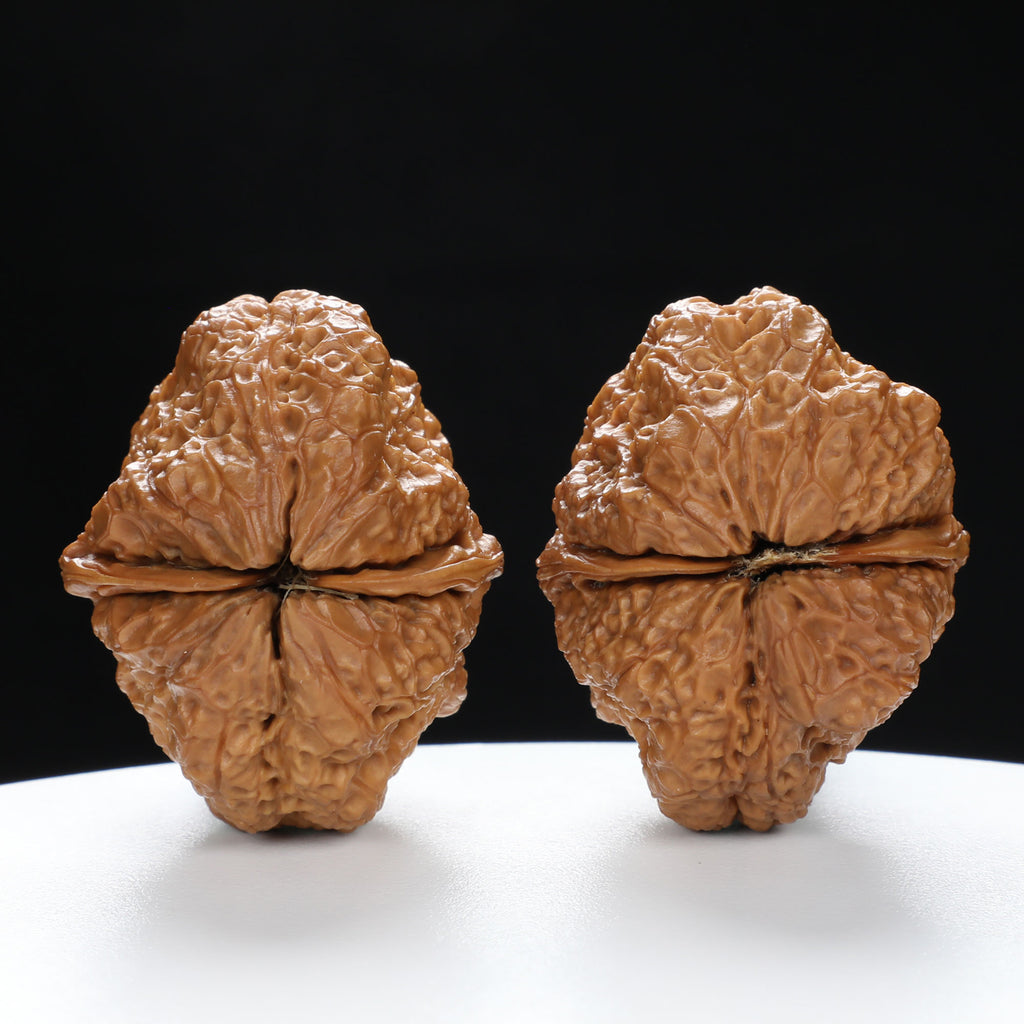 “Toad Head” Yunnan Iron Golden Toad Wenwan Walnuts Pair | Size:31L*40W*40H | UPI:UR-00097