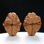 “Toad Head” Yunnan Iron Golden Toad Wenwan Walnuts Pair | Size:31L*40W*40H | UPI:UR-00097