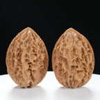 “Fortune Mouse / Bodhi Seed” Fortune Rat (Nine-Story Pagoda Origin) Tall-Stature Wenwan Walnuts Pair | Size:40L*41W*53H | UPI:UR-00043
