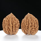 “Fortune Mouse / Bodhi Seed” Fortune Rat (Nine-Story Pagoda Origin) Tall-Stature Wenwan Walnuts Pair | Size:40L*41W*53H | UPI:UR-00043