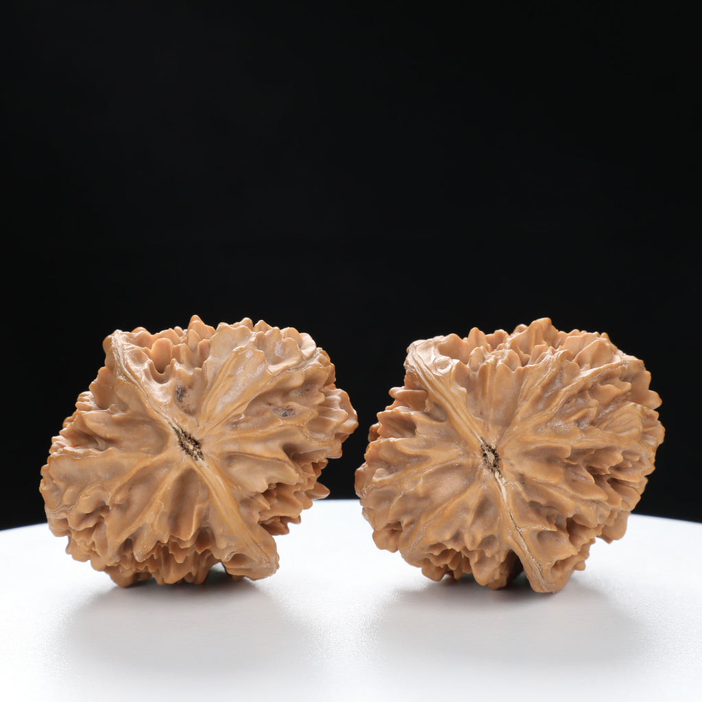 “Fortune Mouse / Bodhi Seed” Fortune Rat (Nine-Story Pagoda Origin) Tall-Stature Wenwan Walnuts Pair | Size:40L*41W*53H | UPI:UR-00043