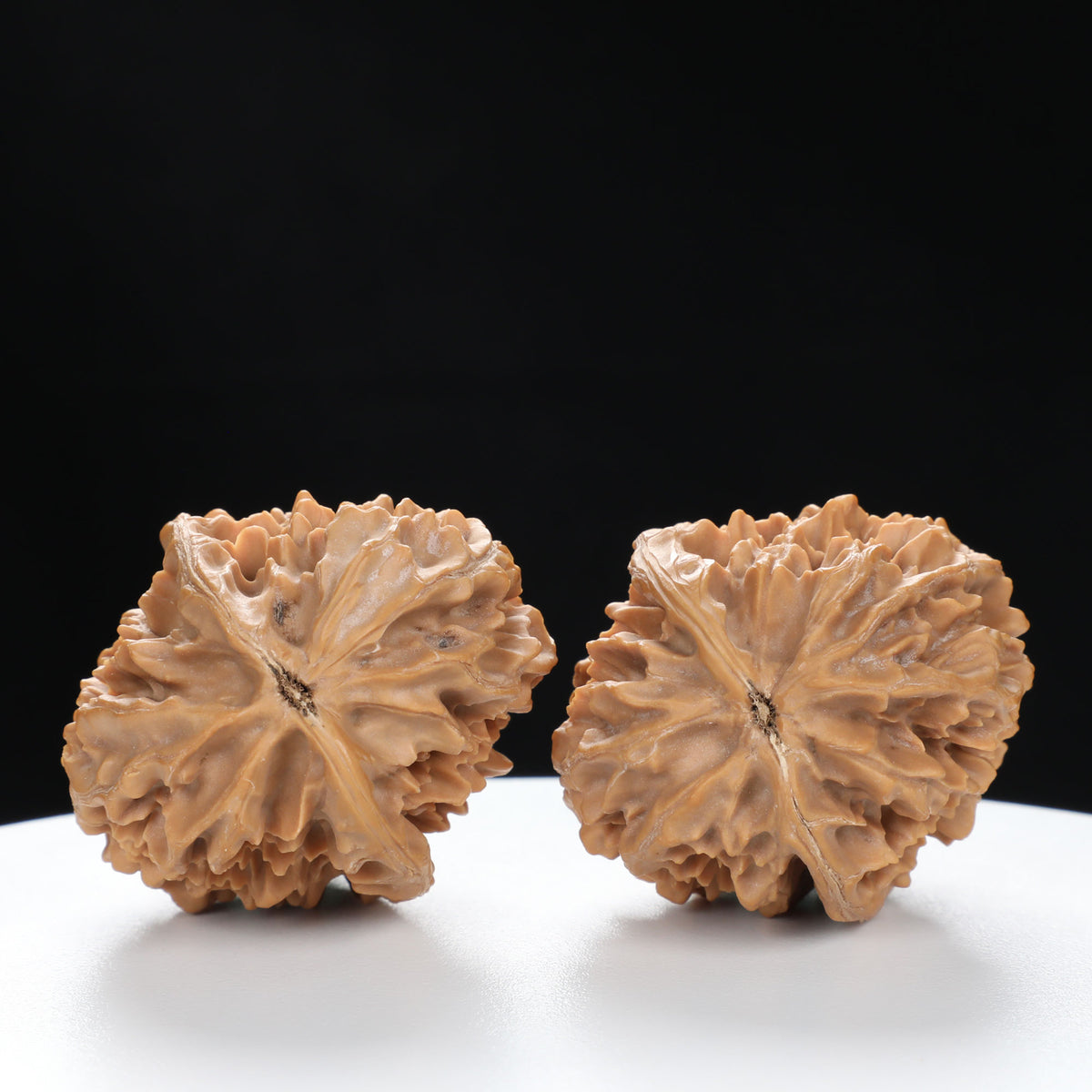 “Fortune Mouse / Bodhi Seed” Fortune Rat (Nine-Story Pagoda Origin) Tall-Stature Wenwan Walnuts Pair | Size:40L*41W*53H | UPI:UR-00043