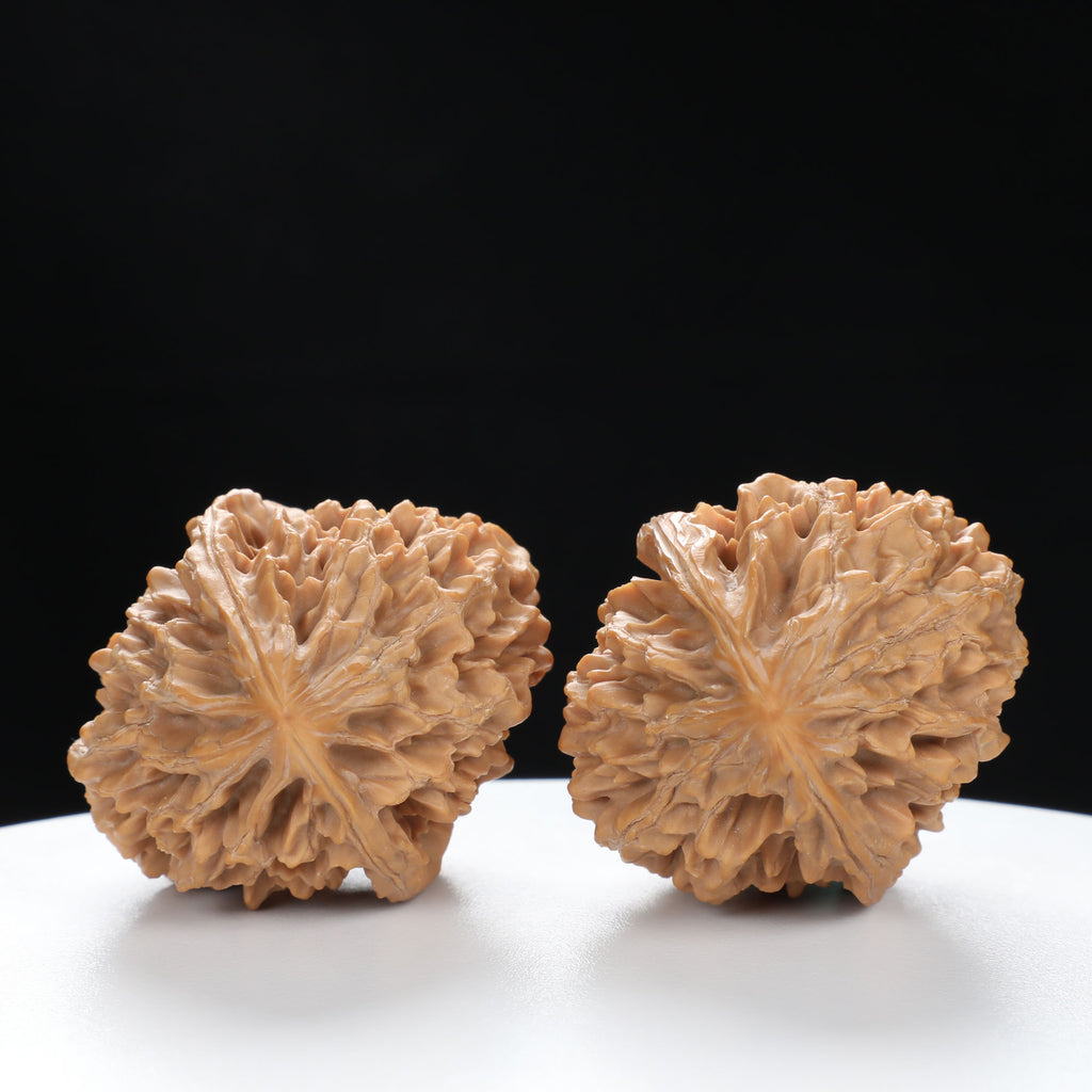 “Fortune Mouse / Bodhi Seed” Fortune Rat (Nine-Story Pagoda Origin) Tall-Stature Wenwan Walnuts Pair | Size:40L*41W*53H | UPI:UR-00043