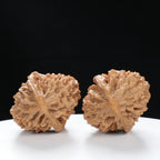“Fortune Mouse / Bodhi Seed” Fortune Rat (Nine-Story Pagoda Origin) Tall-Stature Wenwan Walnuts Pair | Size:40L*41W*53H | UPI:UR-00043