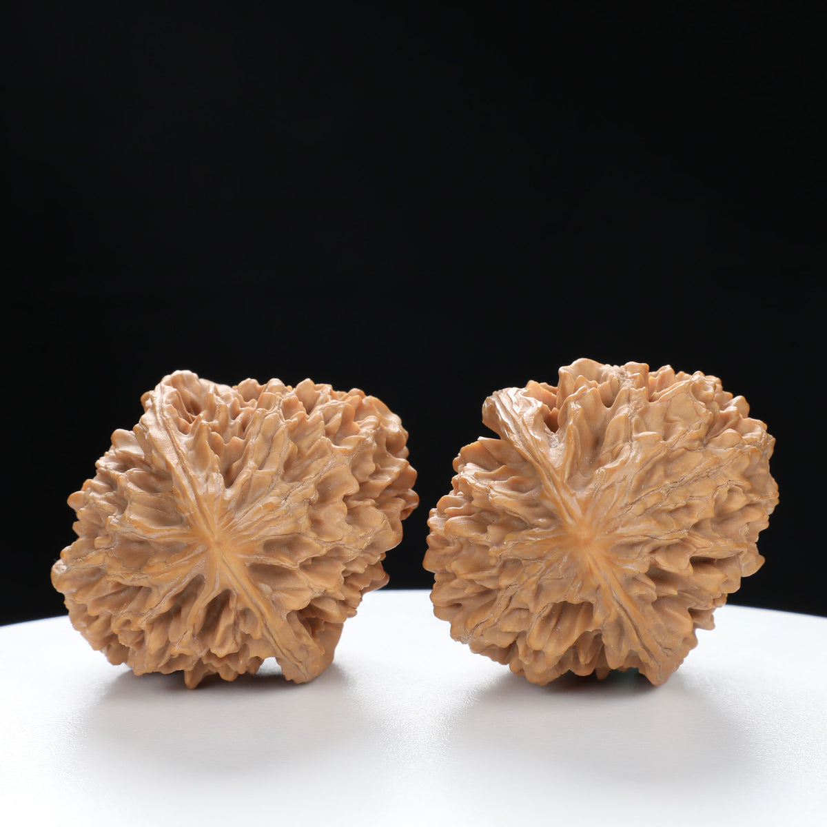 “Fortune Mouse / Bodhi Seed” Fortune Rat (Nine-Story Pagoda Origin) Tall-Stature Wenwan Walnuts Pair | Size:40L*41W*53H | UPI:UR-00043