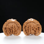 “Snake Head” Collector's Ultra Rare Full-Bellied Snake Head Hand-Matched Wenwan Walnuts Pair | Size:38L*25W*34H | UPI:UR-00092