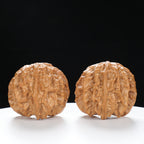 “Snake Head” Collector's Ultra Rare Full-Bellied Snake Head Hand-Matched Wenwan Walnuts Pair | Size:38L*25W*34H | UPI:UR-00092