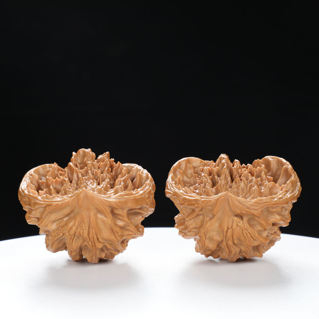 “Snake Head” Collector's Ultra Rare Full-Bellied Snake Head Hand-Matched Wenwan Walnuts Pair | Size:38L*25W*34H | UPI:UR-00092