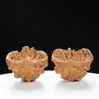 “Snake Head” Collector's Ultra Rare Full-Bellied Snake Head Hand-Matched Wenwan Walnuts Pair | Size:38L*25W*34H | UPI:UR-00092