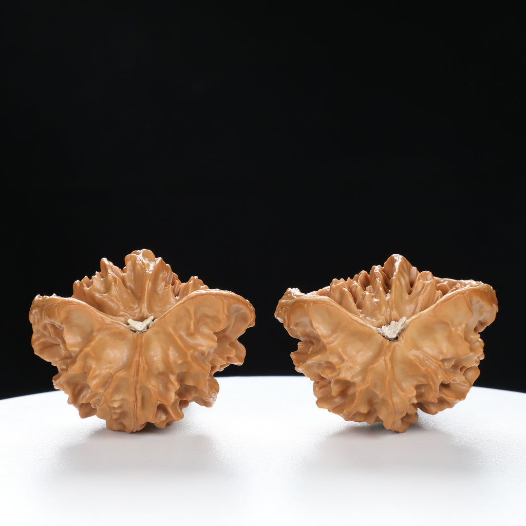 “Snake Head” Collector's Ultra Rare Full-Bellied Snake Head Hand-Matched Wenwan Walnuts Pair | Size:38L*25W*34H | UPI:UR-00092