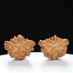 “Snake Head” Collector's Ultra Rare Full-Bellied Snake Head Hand-Matched Wenwan Walnuts Pair | Size:38L*25W*34H | UPI:UR-00092