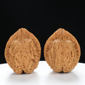 “Toad Head” High-Matched 4-Sided Golden Toad Yunnan Iron Wenwan Walnuts Pair | Size:35L*40W*43H | UPI:UR-00098